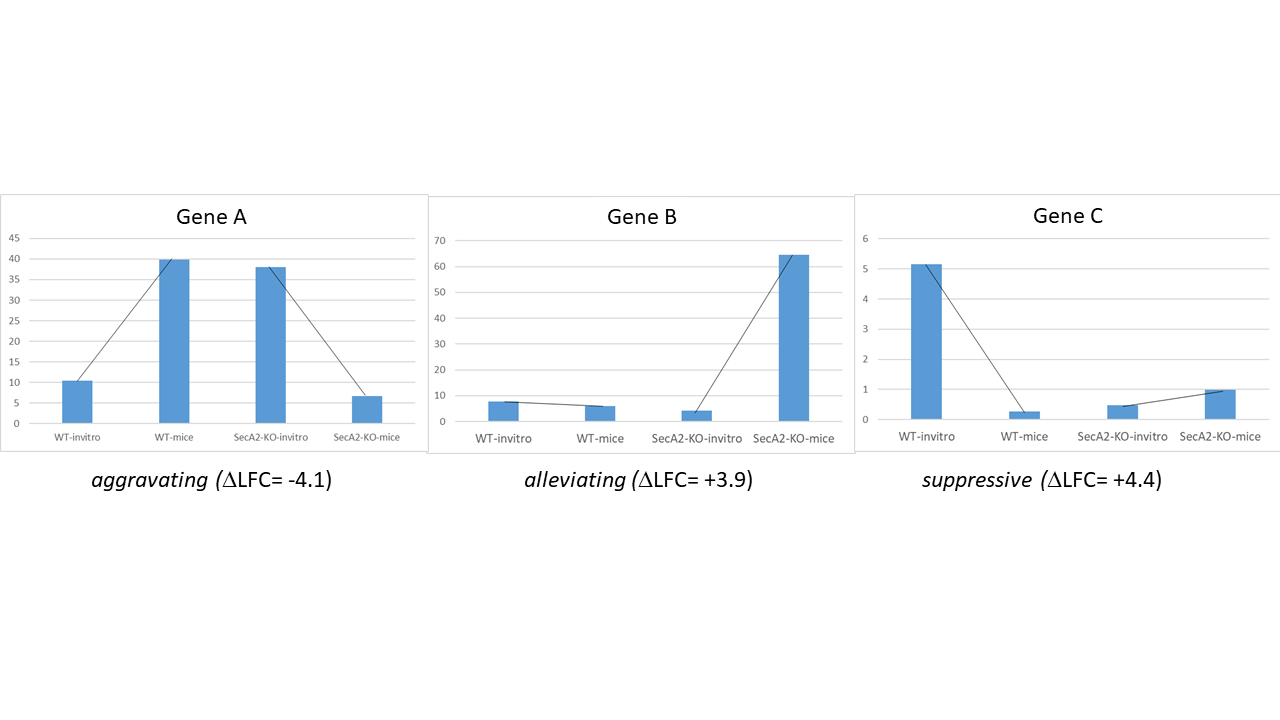 _images/genetic_interaction_types.png